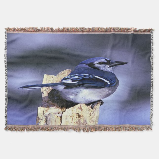 Söt Blue Jay Mysfilt (Framsidan)
