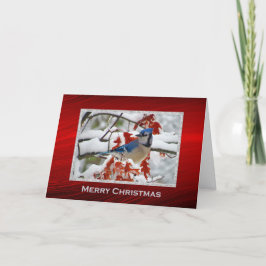 Söt Blue Jay Snö Photo jul Helgkort