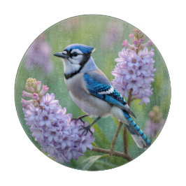 Söt Blue Jay Stanon Lilac Grenar