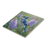 Söt Blue Jay Stanon Lilac Grenar Kakelplatta<br><div class="desc">En söt vägg med blått sitta på en lilac grenar ai-illustration.</div>