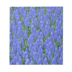 Söt blue muscari-blommor anteckningsblock