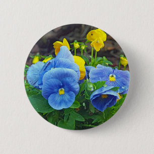 Söt Blue och Gult Pansy Blommigt Photo Knapp