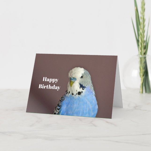 Söt Blue Parakeet Photo Birthday Card Kort (Framsida)