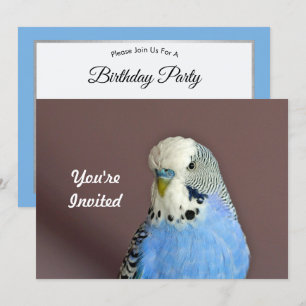 Söt Blue Parakeet Photo Birthday-inbjudan Inbjudningar