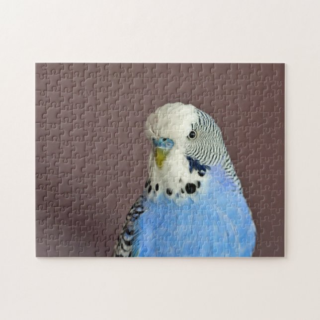 Söt Blue Parakeet Photo Jigszle Puzzle Pussel (Horisontell)