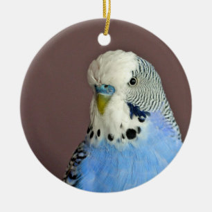 Söt Blue Parakeet Photo Julgransprydnad Keramik