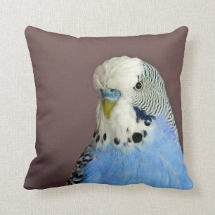 Söt Blue Parakeet Photo Kudde