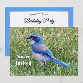 Söt Blue SCrub Jay Bird Photo Birthday Inbjudningar