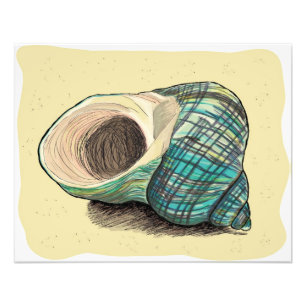 Söt Blue Snäcka Fototryck