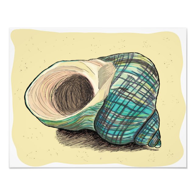 Söt Blue Snäcka Fototryck (Framsidan)