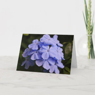 Söt Blue Tropical Flowers Note Card Kort