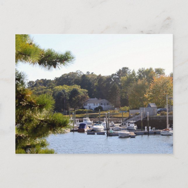 Söt Blue Vatten Boat Marina Vykort (Framsida)