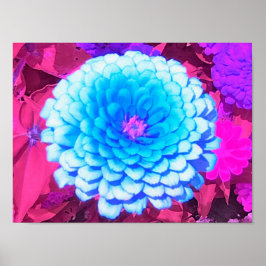 Söt Blue Zinnia i Lila Summer Garden Poster