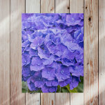 Söt Bluish Lila Summer Hydrangeas Pussel<br><div class="desc">Dessa vackra blåaktiga vattendrag med lila brast med blommar i slutet av sommaren, med runda petaler och vackra knappliknande pistiller. Hydrangeas gör mig tänka av vintage blommigtar, buketter i gammaldags vas och buskar som har växt under årtionden. Jag kärlek att vissa varietaler byter färg på grund av pH - min...</div>