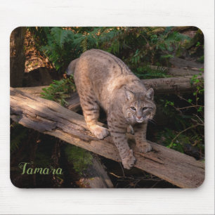 Söt Bobcat Wildlife Älskare eget namn Musmatta
