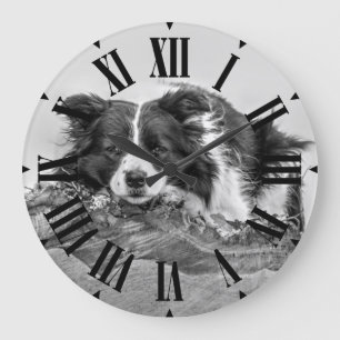 Söt Border Collie Hund Stor Klocka