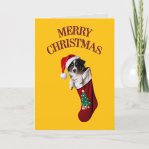 Söt Border Collie jul Kort
