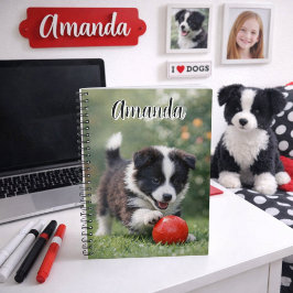 Söt Border Collie med röd boll  Anteckningsbok