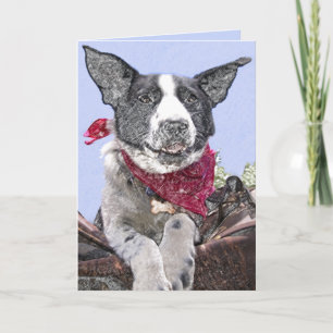 Söt Border Collie-mix Hund Skiss Konst Anpassad Ko Kort