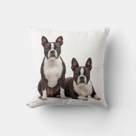 Söt Boston Terrier Dekorativ kudde