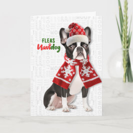 Söt Boston Terrier Hund Loppor Navidog Jul Helgkort