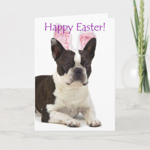 Söt Boston Terrier påskkort Helgkort