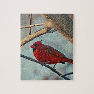 Söt Boy Male Cardinal Pussel