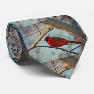 Söt Boy Male Cardinal Slips