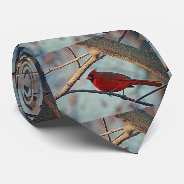 Söt Boy Male Cardinal Slips (Rullad)