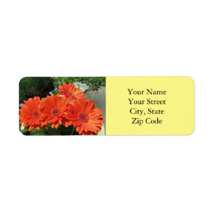 Söt Bright Orange Gerbera Daisy Photo Gult Returadress Etikett
