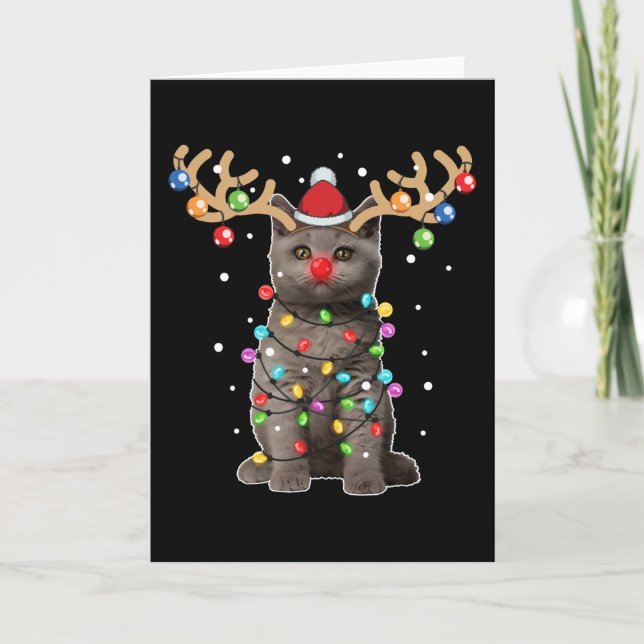 Söt britsk korthårskatt rolig julfirande kort (Framsida)
