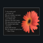 Söt bror / syster syskon födelsedag vykort<br><div class="desc">För omvärlden åldras vi alla. Men inte för bröder och systrar. Vi känner varandra som vi alltid var. Vi känner varandras hjärtan. Vi delar privata familjeskämt. Vi minns familjefejder och hemligheter,  familjesorg och glädje. Vi lever utanför tidens beröring. ~Clara Ortega</div>