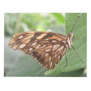 Söt Brown Butterfly Anteckningsblock