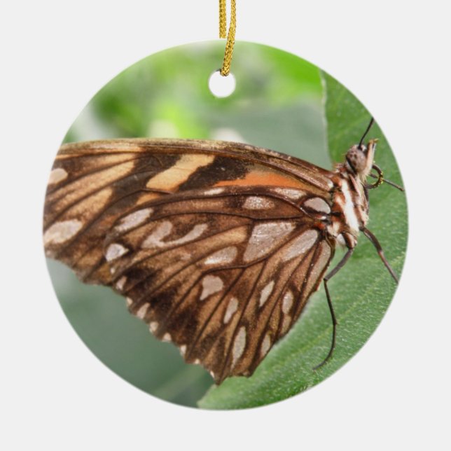 Söt Brown Butterfly Ornament (Framsidan)