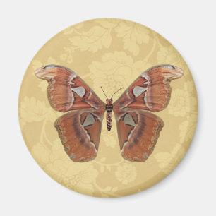 Söt Brown Butterfly på Vintage Beige Blommigt Magnet
