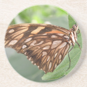 Söt Brown Butterfly Underlägg Sandsten