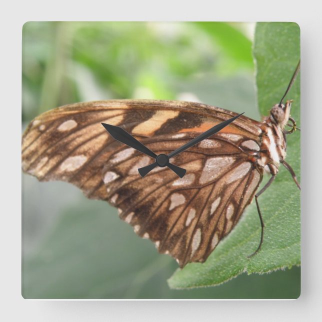 Söt Brown Butterfly Wall Clock Fyrkantig Klocka (Framsida)