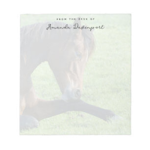 Söt Brown Horse Lutning i Grass Anteckningsblock