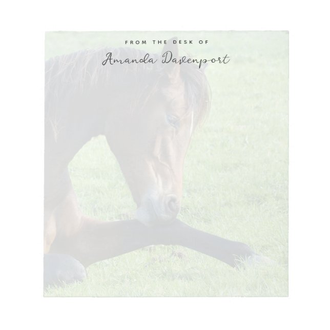 Söt Brown Horse Lutning i Grass Anteckningsblock (Framsida)