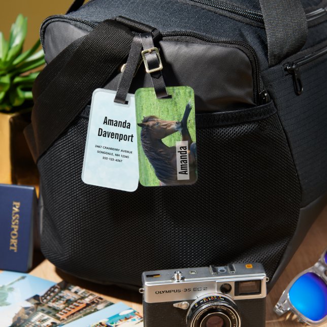 Söt Brown Horse Lutning i Grass Bagagebricka (Fram & Baksida)