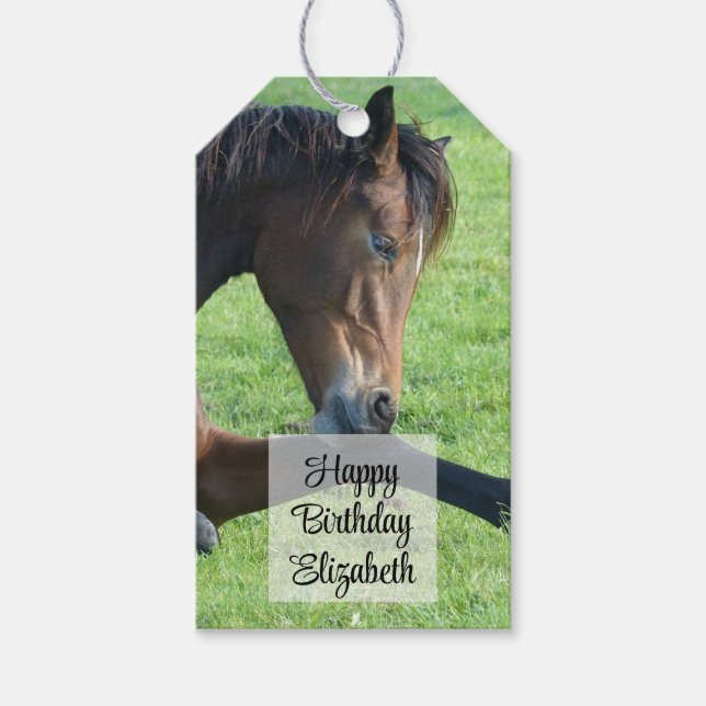 Söt Brown Horse Lutning i Grass Birthday Presentetikett (Framsidan)