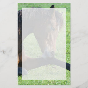 Söt Brown Horse Lutning i Grass Brevpapper