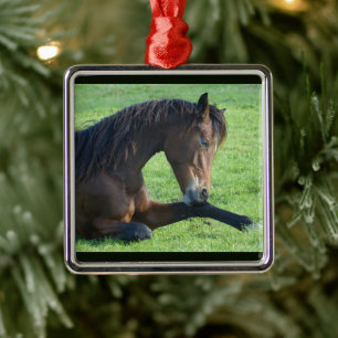 Söt Brown Horse Lutning i Grass Julgransprydnad Metall