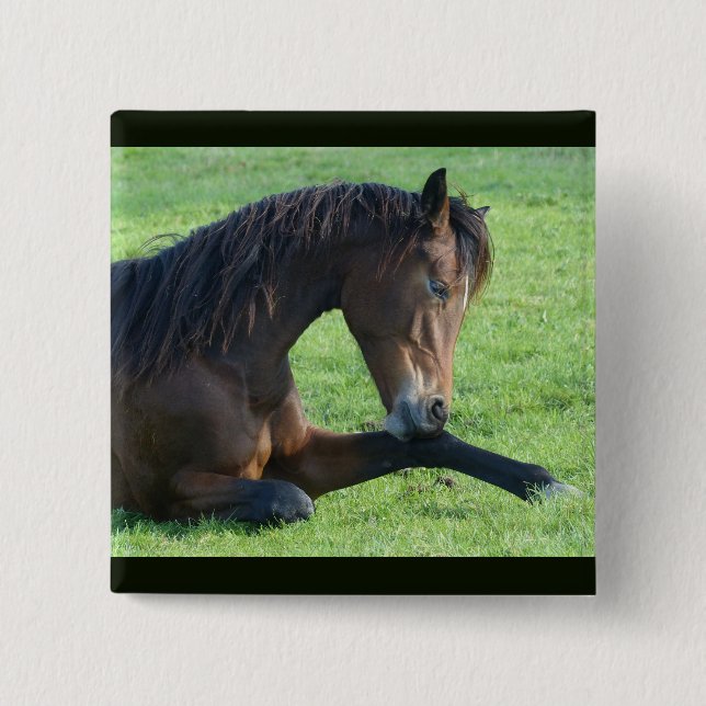 Söt Brown Horse Lutning i Grass Knapp (Framsida)