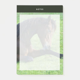 Söt Brown Horse Lutning i Grass Post-it Block