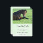 Söt Brown Horse Lutning i Grass Spara Datumet<br><div class="desc">Spara datumkortet med ett vackert foto med en vacker brunbjörn i gräset,  tittar fredligt och innehåll.</div>