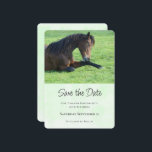 Söt Brown Horse Lutning i Grass Spara Datumet<br><div class="desc">Spara datumkortet med ett vackert foto med en vacker brunbjörn i gräset,  tittar fredligt och innehåll.</div>