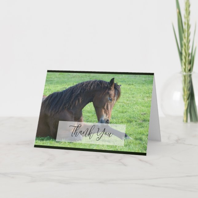 Söt Brown Horse Lutning i Grass Tack Kort (Framsida)