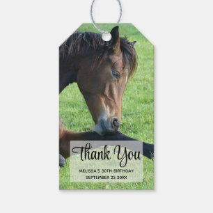 Söt Brown Horse Lutning i Grass Tack Presentetikett