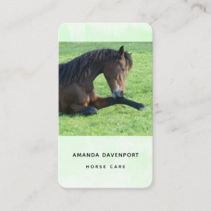 Söt Brown Horse Lutning i Grass Visitkort